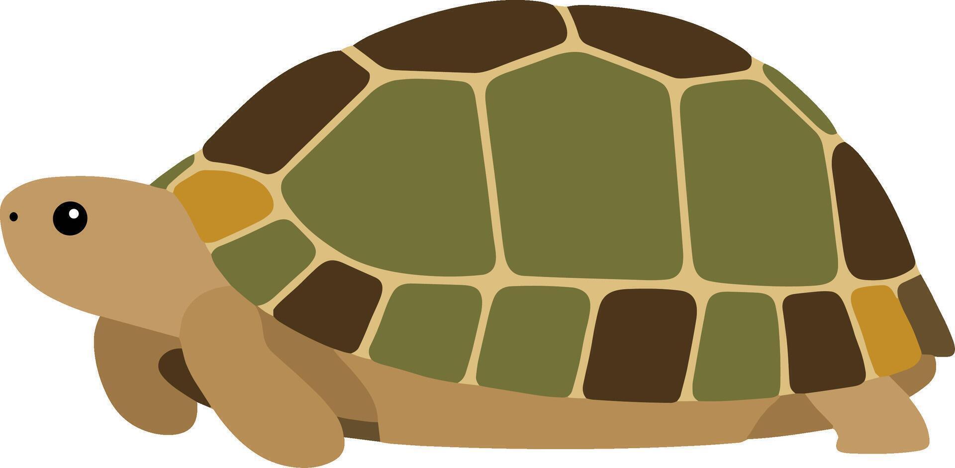 Flat Design Cute Turtle Illustration with Detailed Shell Pattern Creature vector