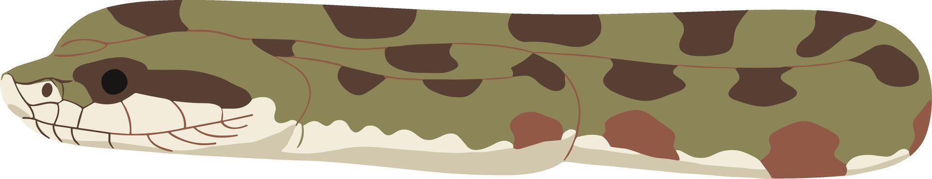 Flat Design Python Snake Head Illustration Isolated on White Background vector