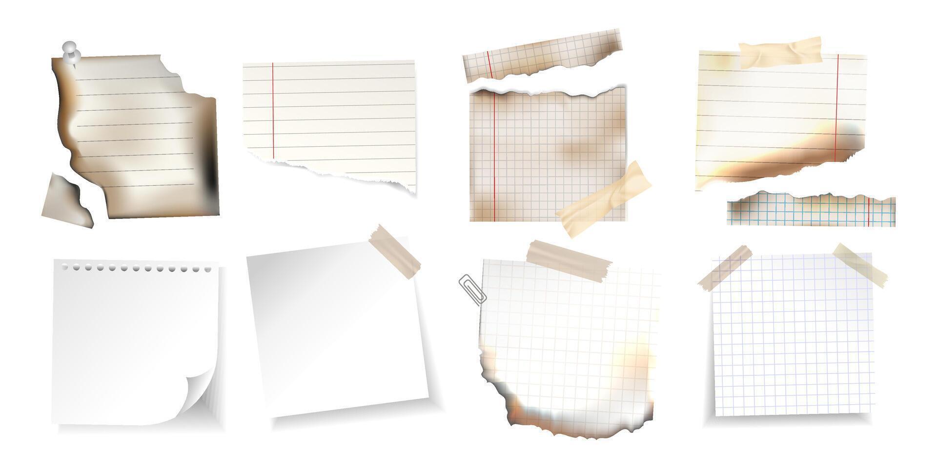 Collection of torn, burnt, and taped paper pieces including notebook, graph, and blank sheets with realistic textures for scrapbooking, digital collages, mockups, notes, presentation design. vector