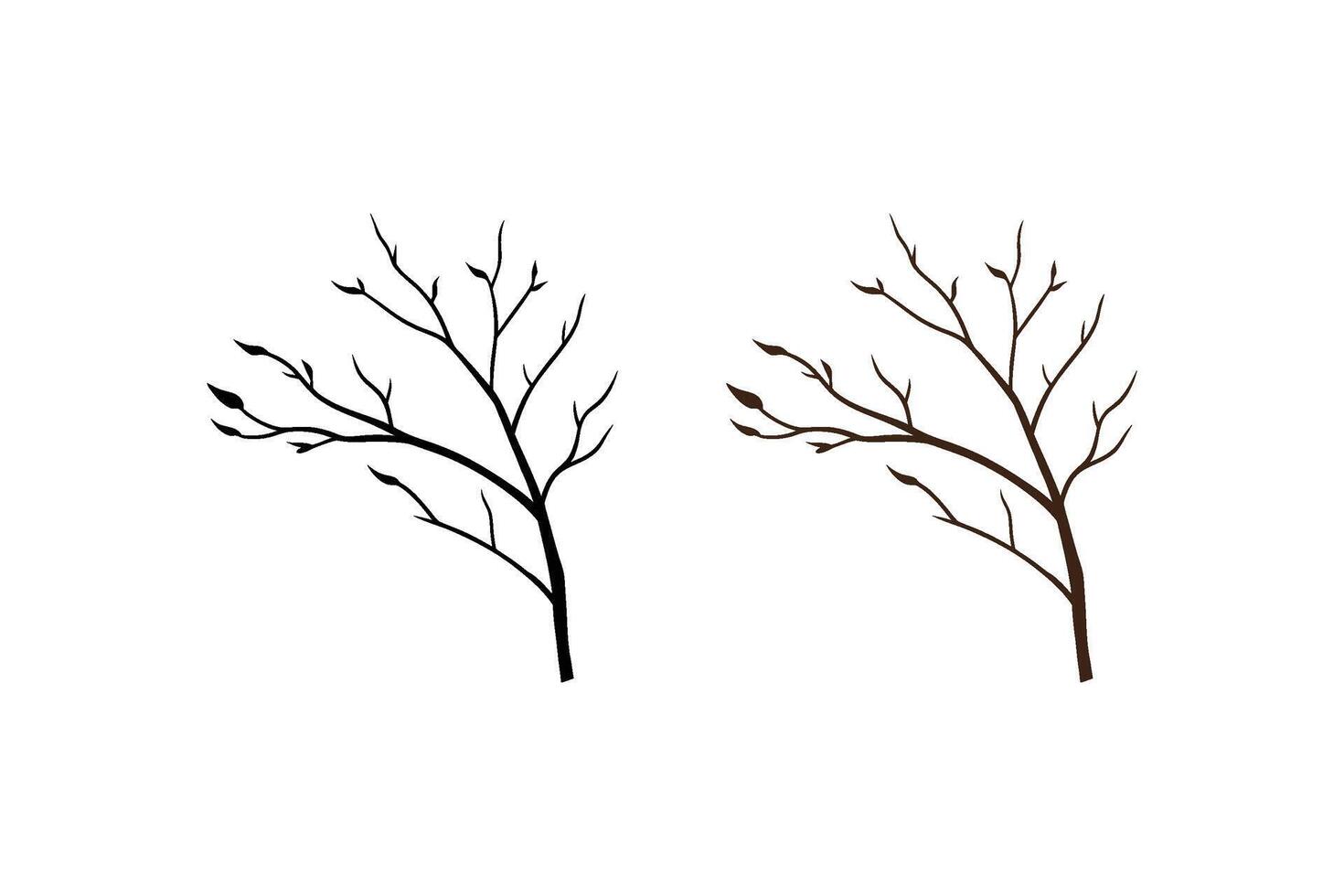 Two trees with leaves on them are shown vector