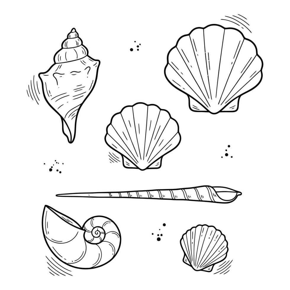 Elegant seashell collection for summer designs and coastal decor projects, perfect for adding a touch of ocean charm, simple black and white line art vector