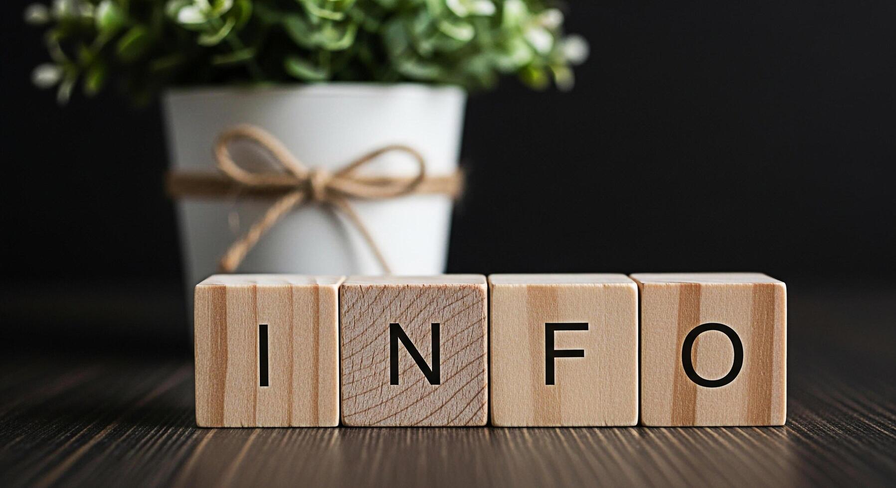 Wooden blocks displaying the word INFO on a dark wooden surface with a blurred potted plant in the background conveying a message of information and knowledge in a simple and clean setting photo