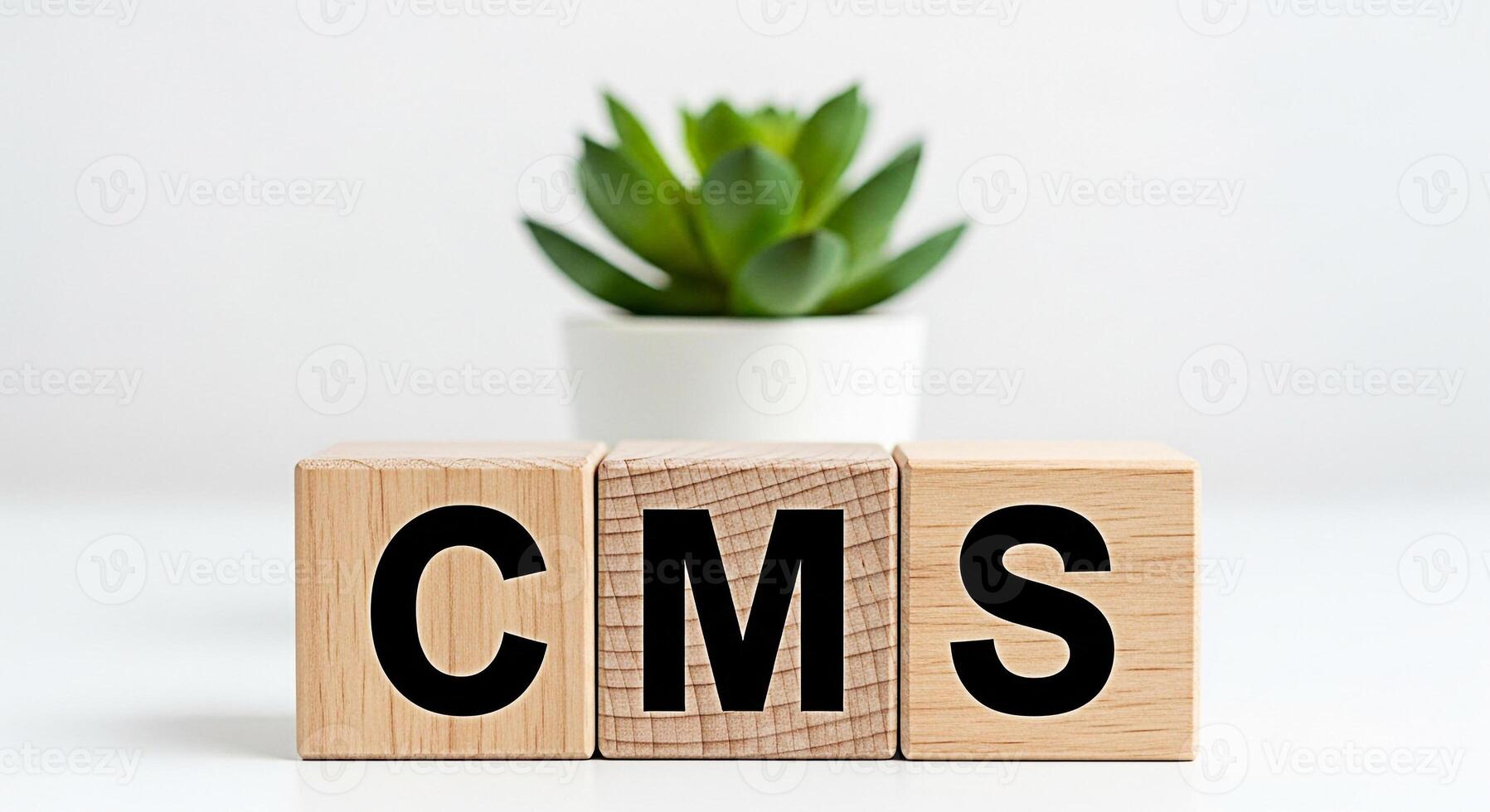 Wooden blocks spelling CMS in a bright minimalist office setting with a succulent symbolizing content management system efficiency and a modern organized workflow photo