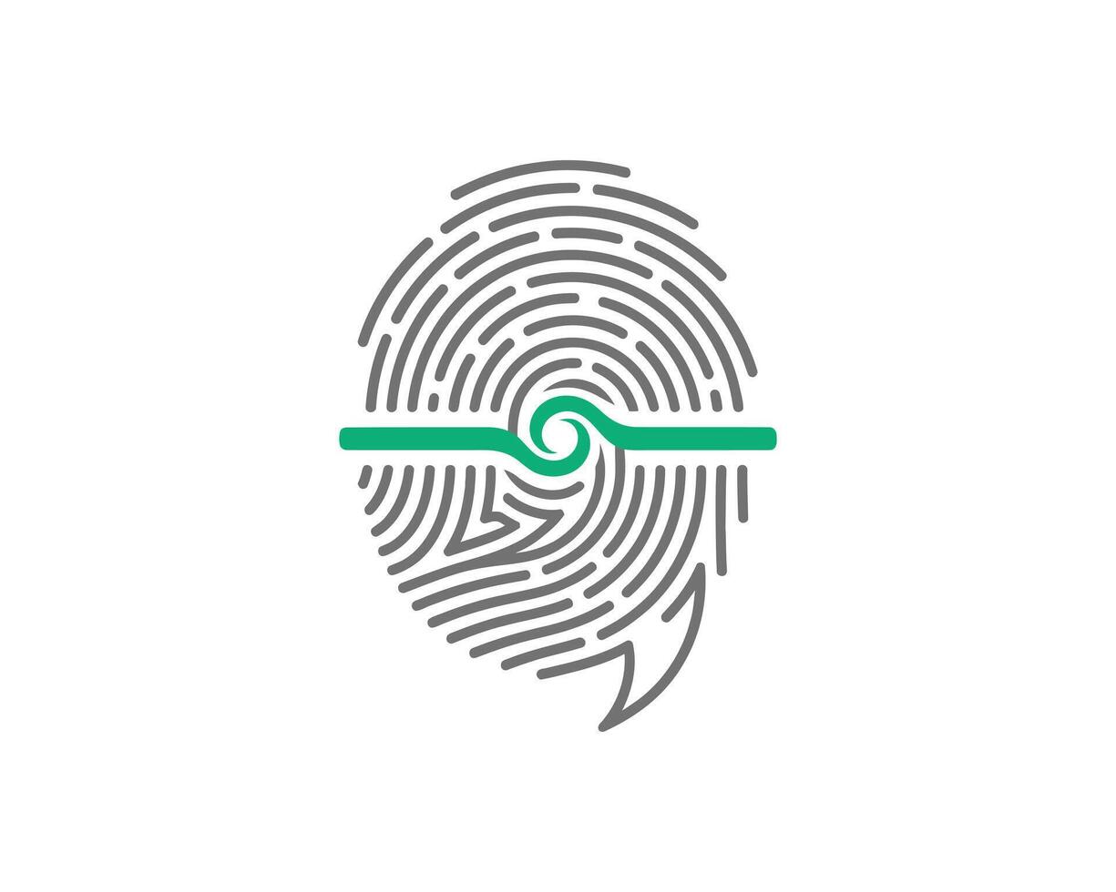 Fingerprint scan security concept isolated on white background biometric identification system with green line modern technology for personal data protection vector