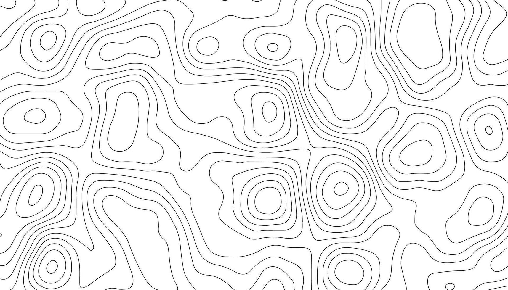 White Topographic Contour Line Abstract Map Pattern vector