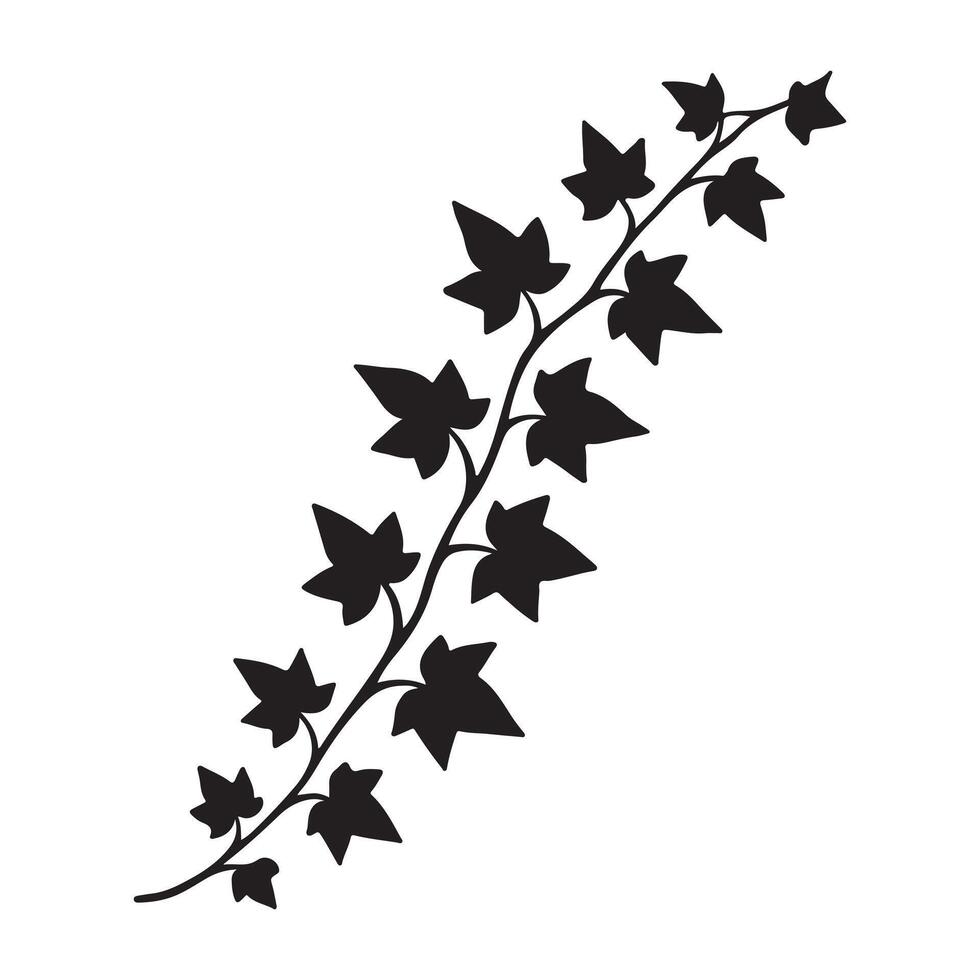 Elegant Ivy Vine Silhouette A Versatile Design Element for Creative Projects vector