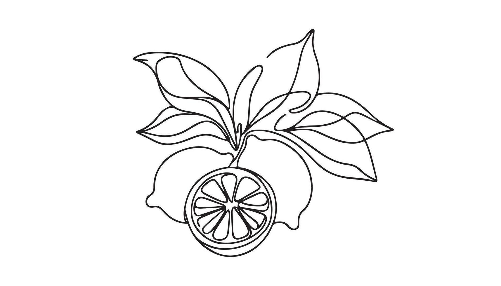 a continuous line drawing of a lemon with leaves line art vector