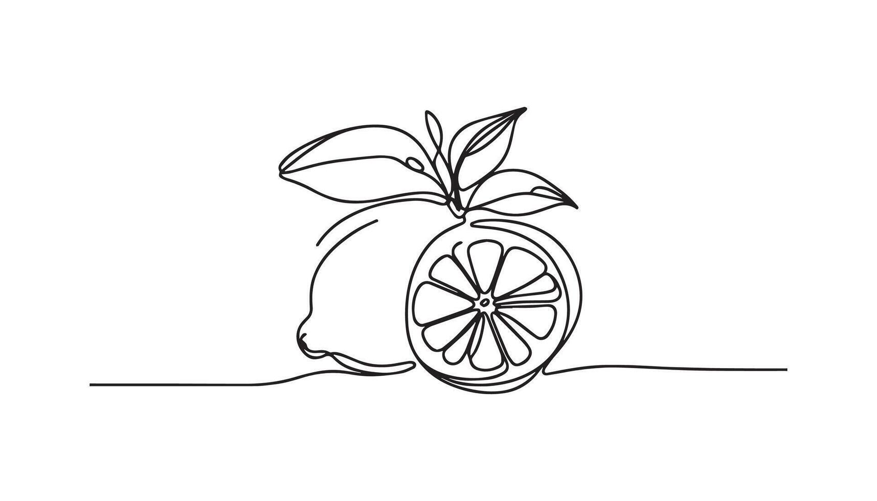 continuous line drawing of a lemon with leaves vector
