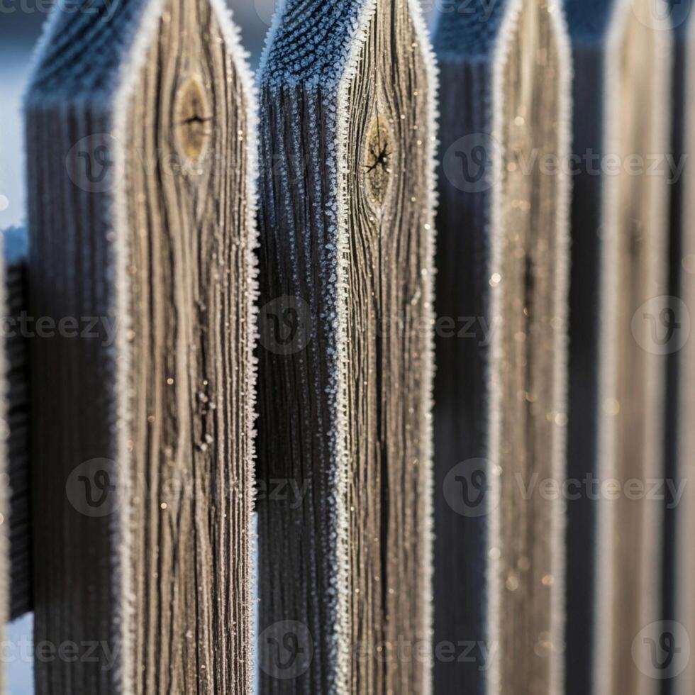 Close up view of weathered wooden fence pickets with distinct grain patterns and subtle color variations creating a rustic texture photo