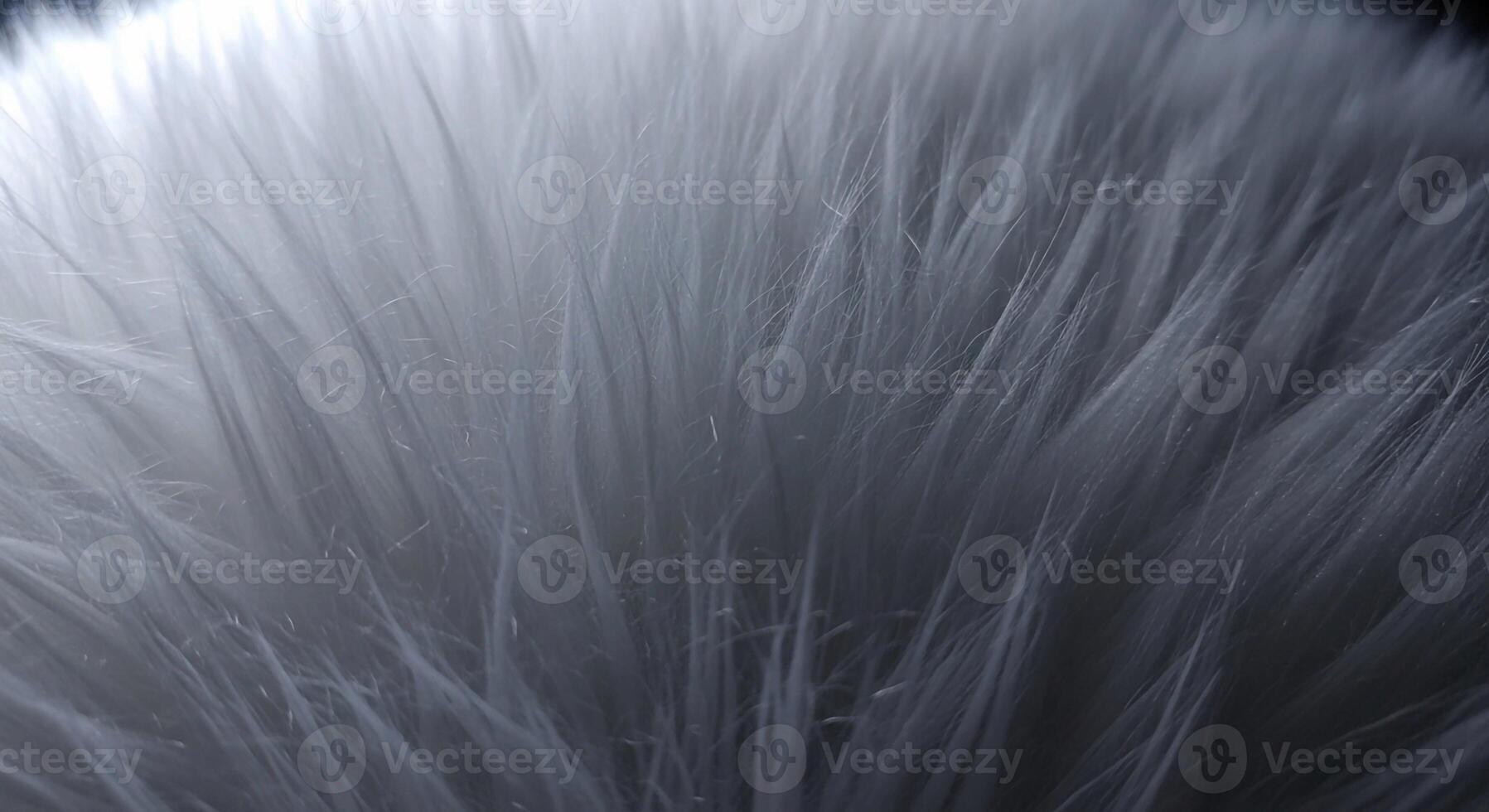 Close up abstract view of soft white and gray fur with a blurred background creating a textured pattern photo
