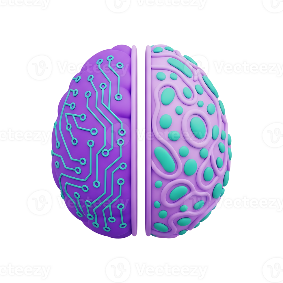 3D brain split in half showing circuit board technology patterns and organic neural pathways, artificial intelligence machine learning human cognition innovation concept icon png