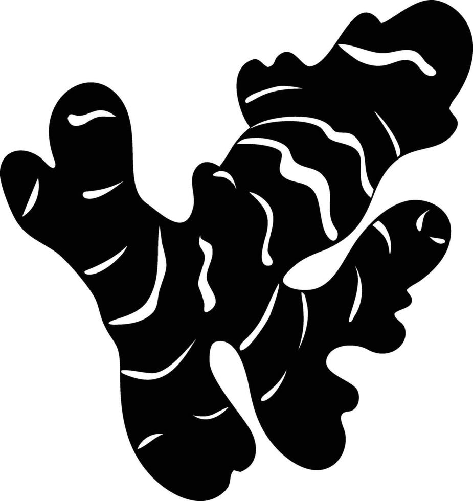 A simplistic black and white illustration of a fresh ginger root with unique vector