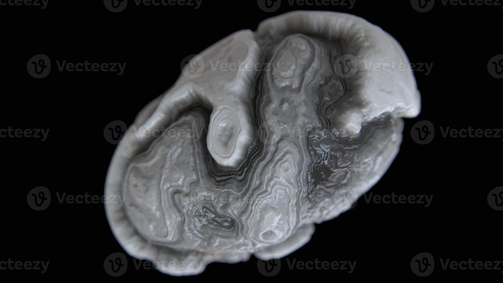 Abstract organic 3d form with biological texture and depth of field on black background photo