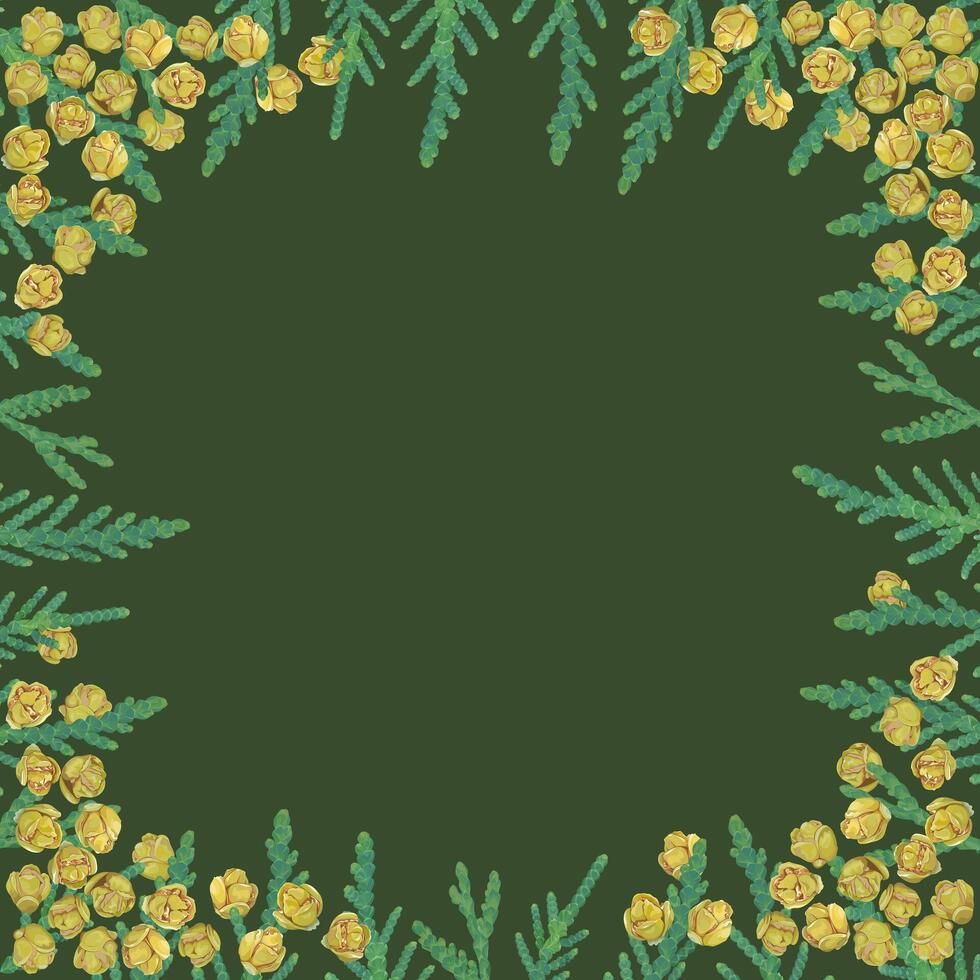 Square frame of thuja branches with cones on a green background vector
