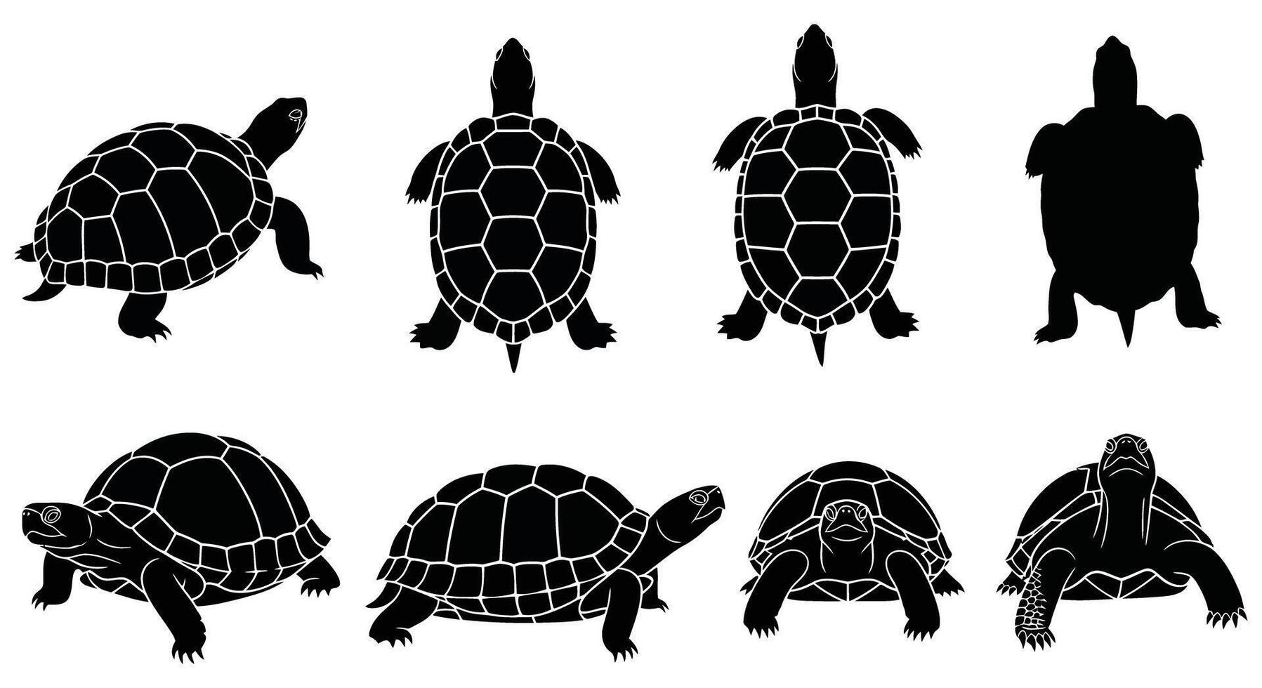 Collection of turtle silhouettes in various poses isolated on white background for design elements vector