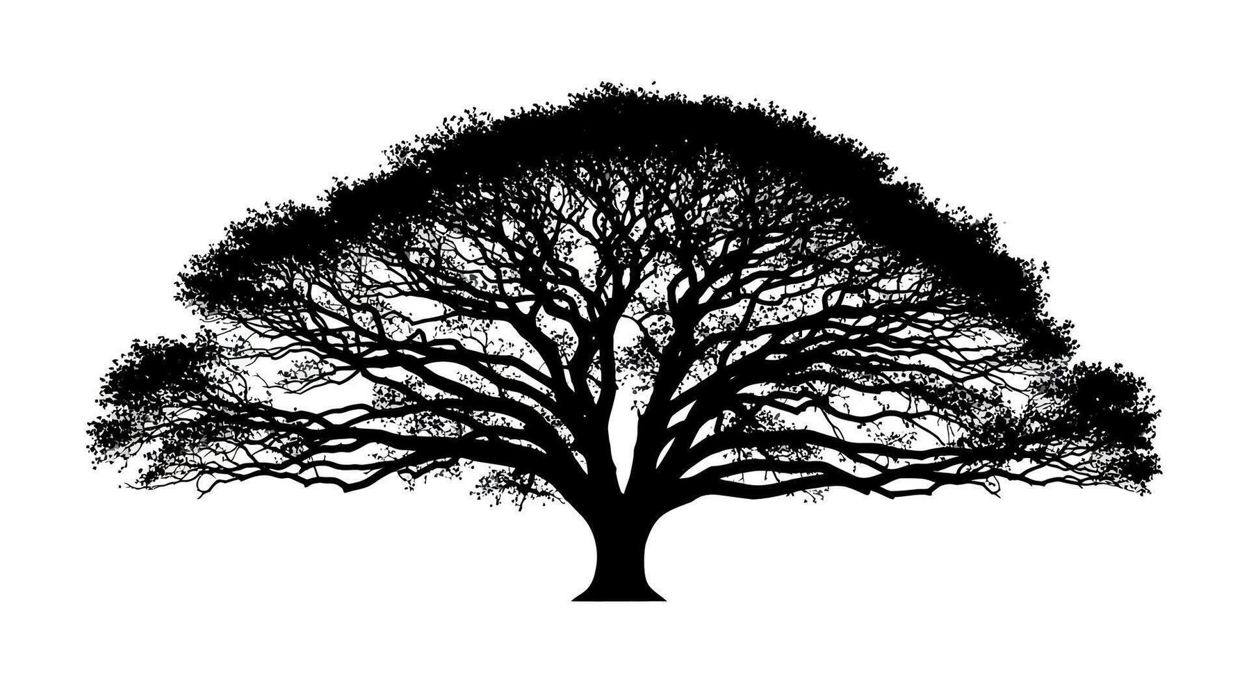 A silhouette of a large tree with many branches on white background vector