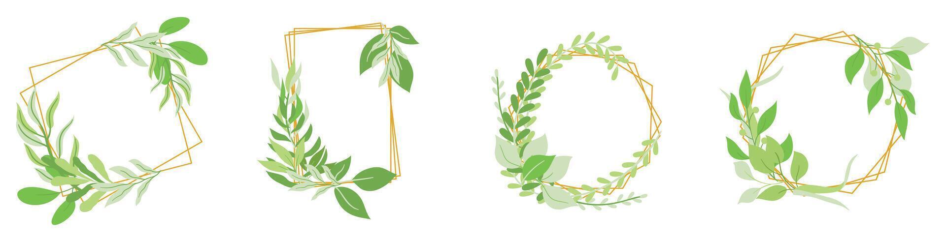 Set Of Floral Frames, Elegant Square, Rectangular And Round Borders With Green Leaves Isolated On White Background vector