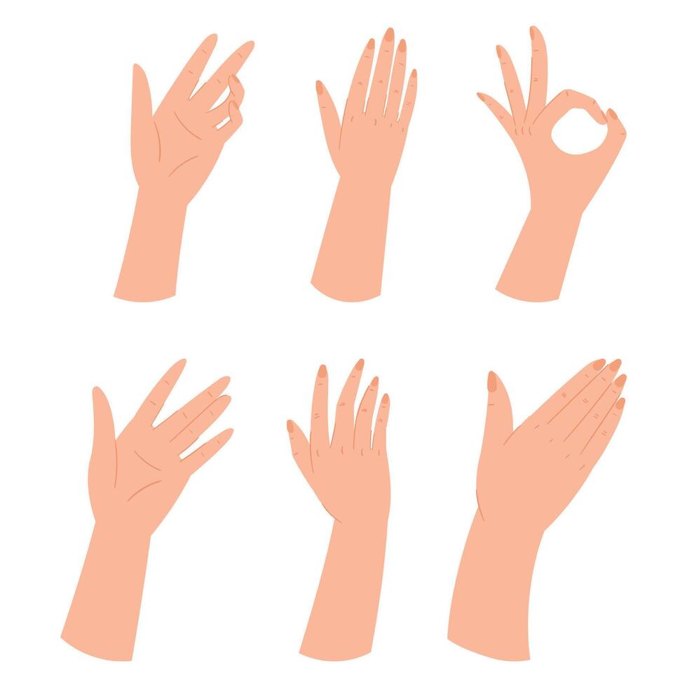 Set Of Hands Making Different Gestures, Arm Showing Ok Sign, Open Palm Waving, Signaling Something To The Viewer vector