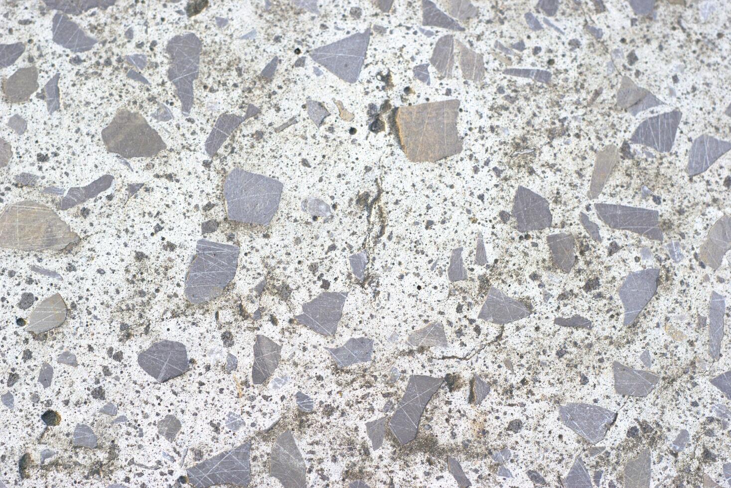 speckled texture of a floor surface embedded with various sizes and shapes photo