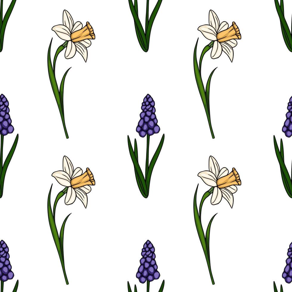 Seamless pattern featuring hand drawn daffodils and grape hyacinths with green stems on a white background. vector