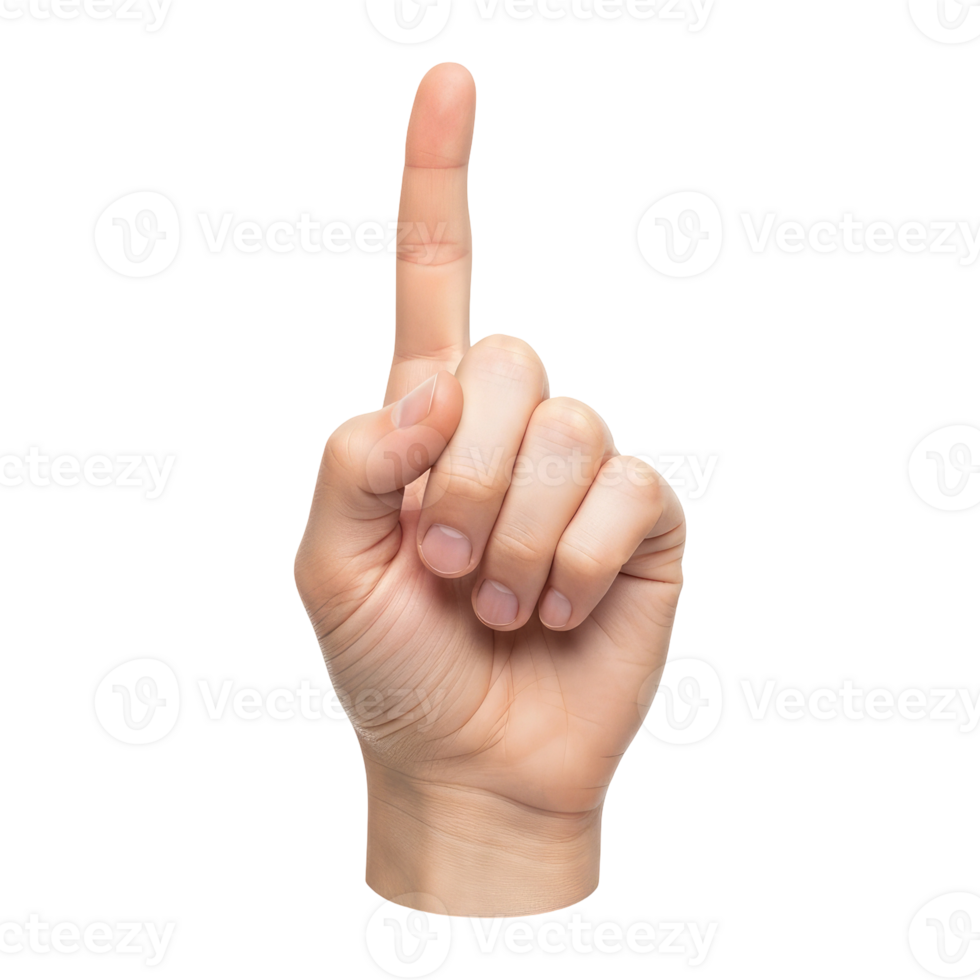 Index Finger Pointing Up as a Symbol of Number One or Direction, Cut Out, Clipping Path, Isolated on a Transparent Background. png