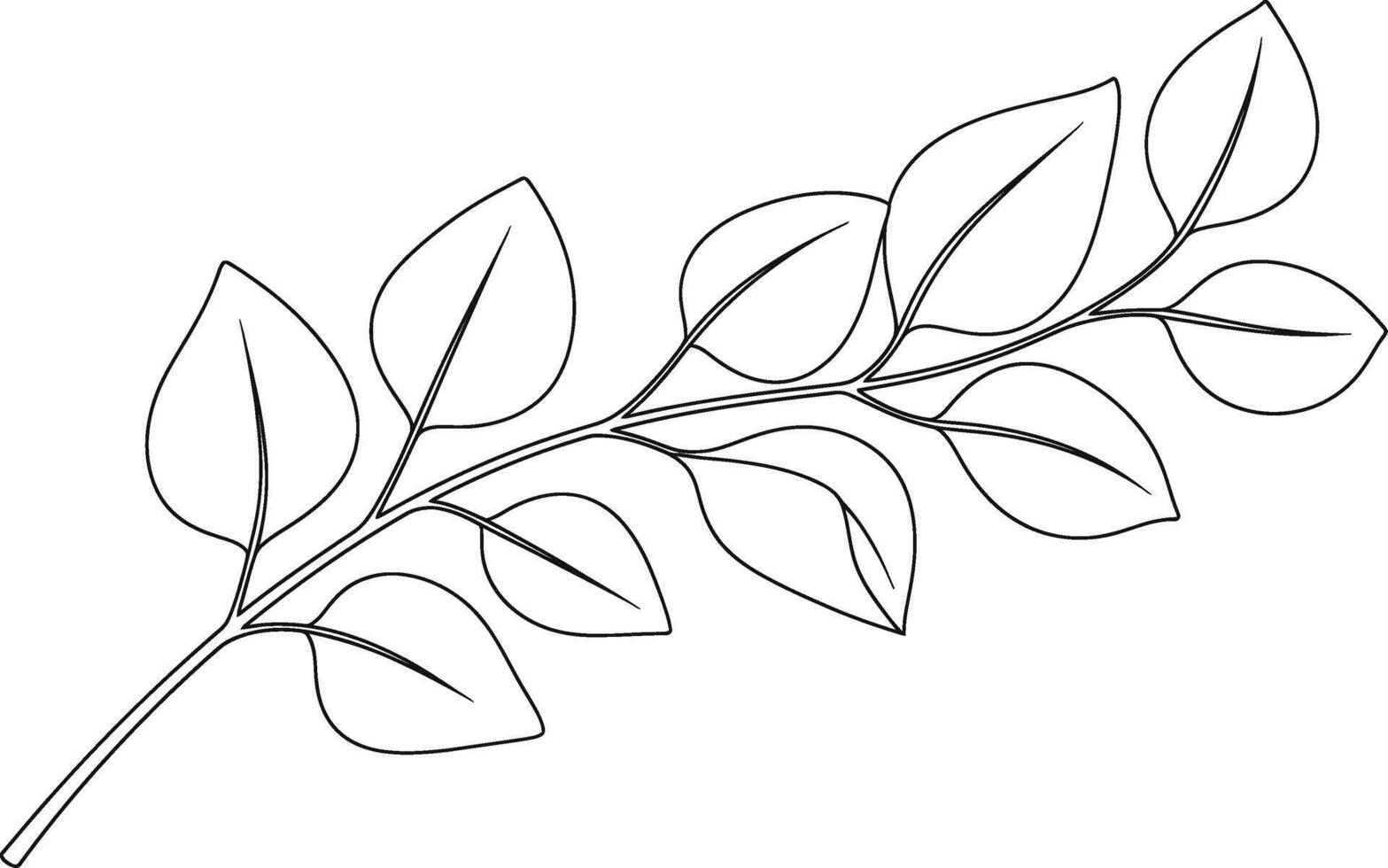 Clean and elegant line art illustration of a leafy botanical branch, perfect for decorative elements, minimalist design projects, nature-themed graphics, and organic patterns vector