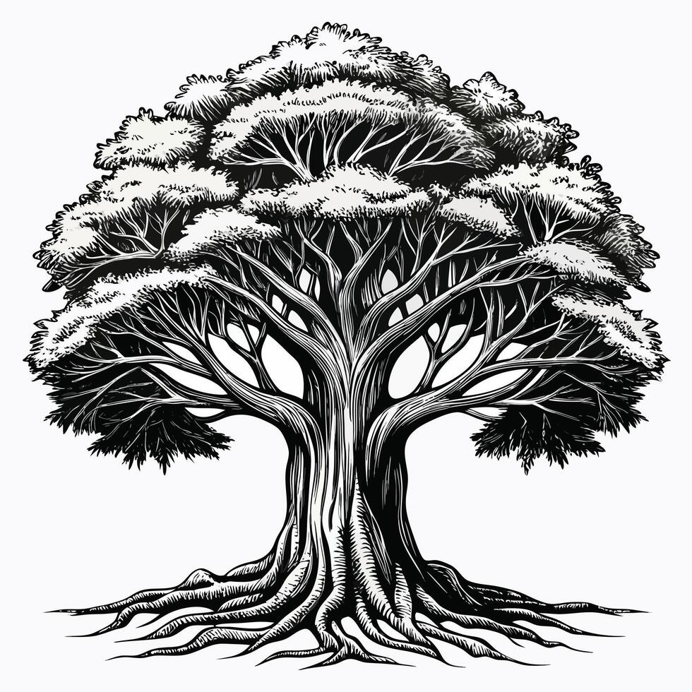 Black and white illustration of a large tree with visible roots and branches vector