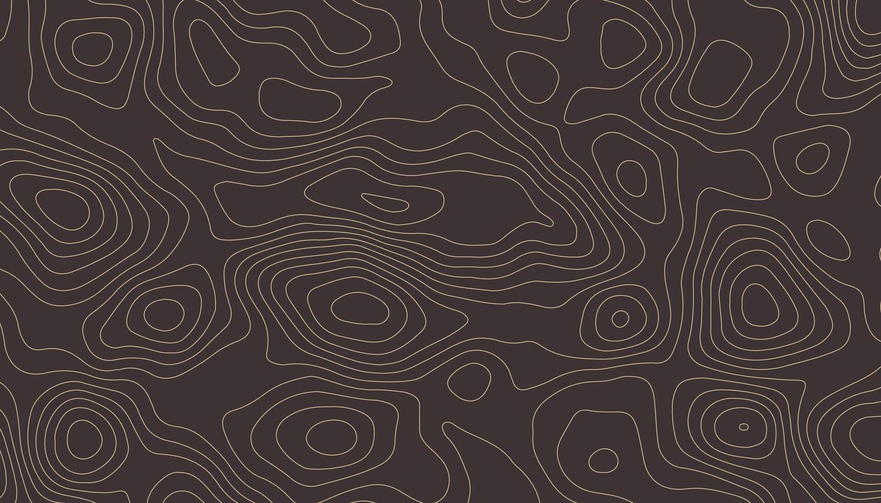 Topographic Contour Line Pattern Background vector