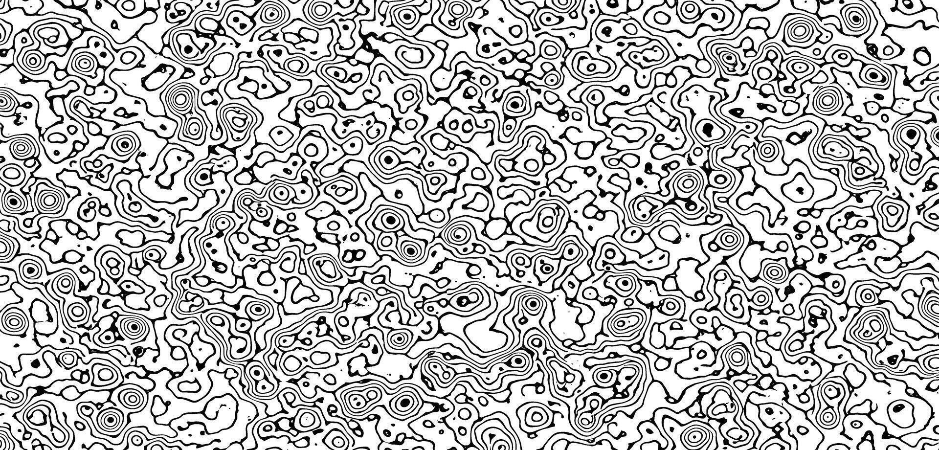 Abstract black and white topographic map pattern with organic lines and shapes vector