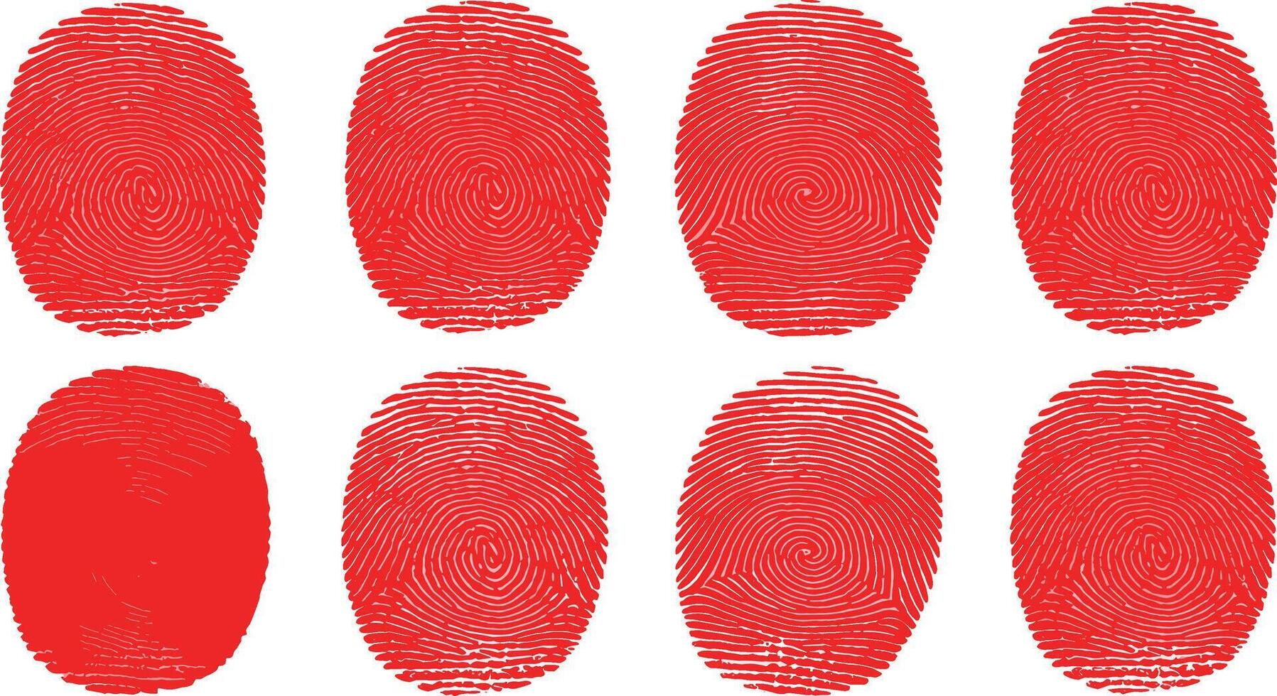 Abstract red fingerprint patterns on white background, close-up view, for design vector