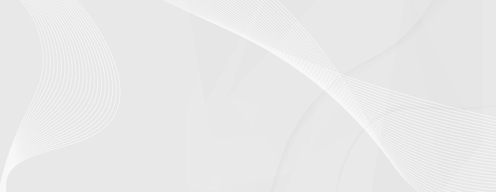 Abstract white and gray flowing lines background minimal texture vector