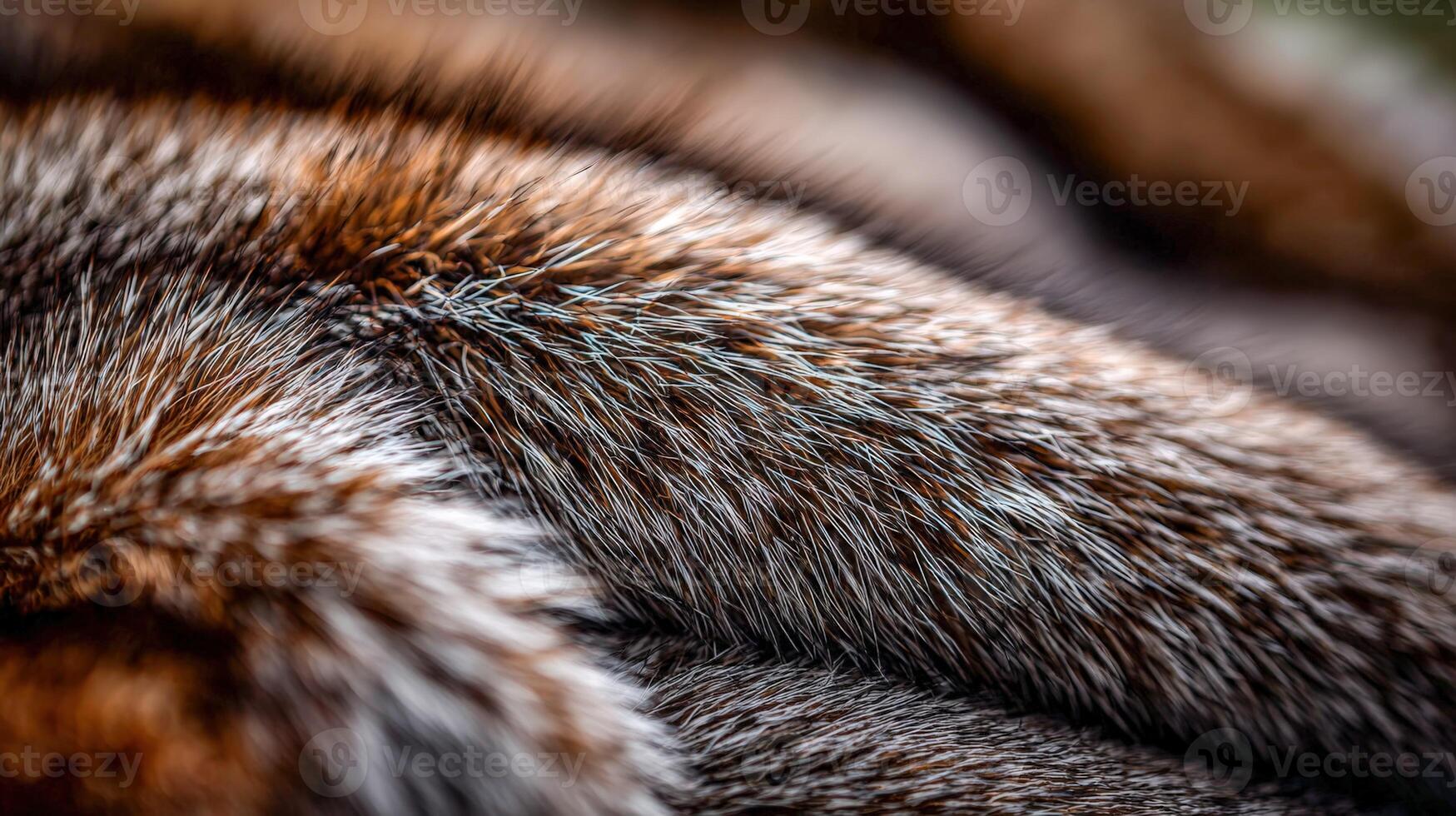 Soft texture of fur in close-up view with warm colors and natural patterns photo