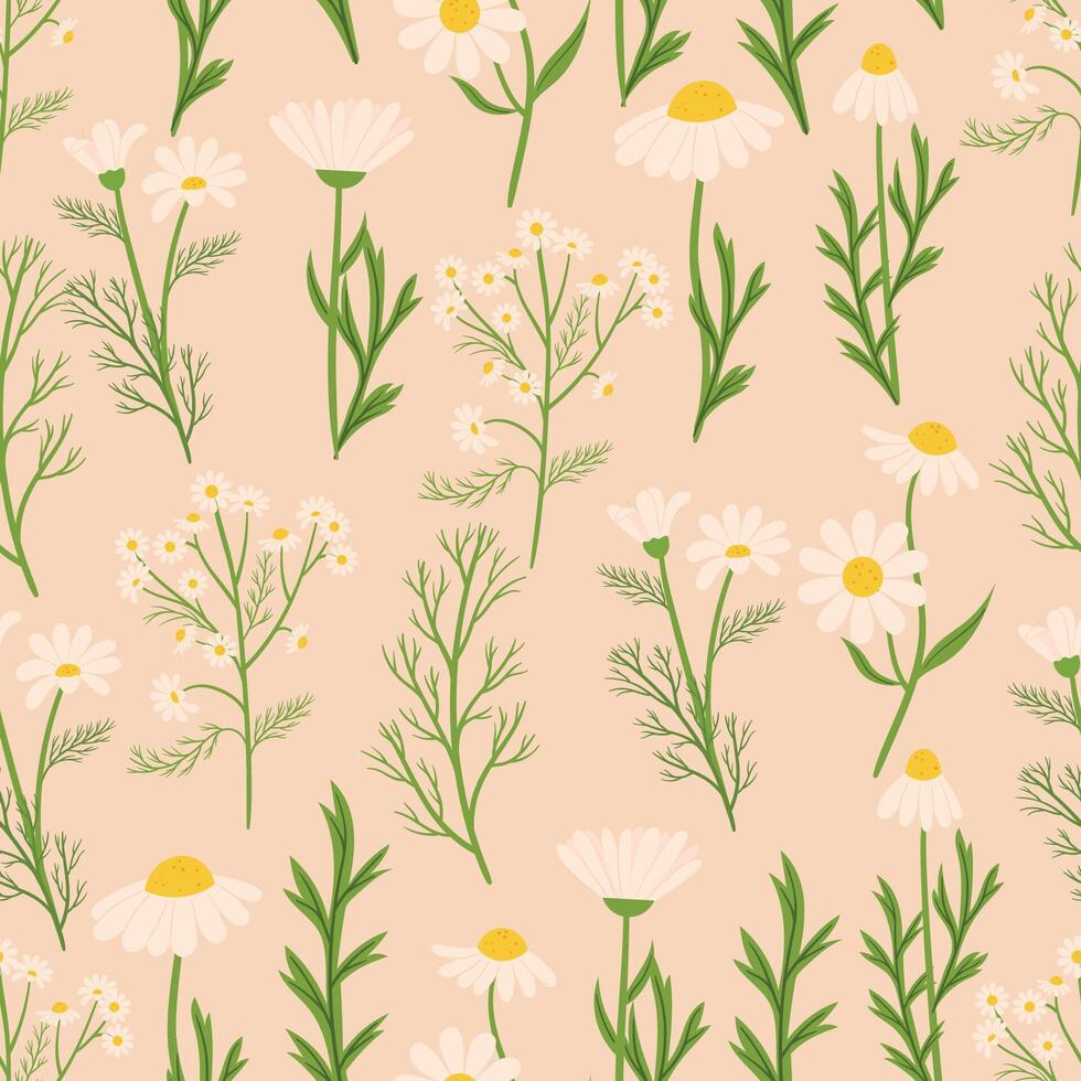 Seamless Pattern Featuring Chamomile Flowers. Background With Delicate Design Of Repeating Floral Ornament For Textiles vector