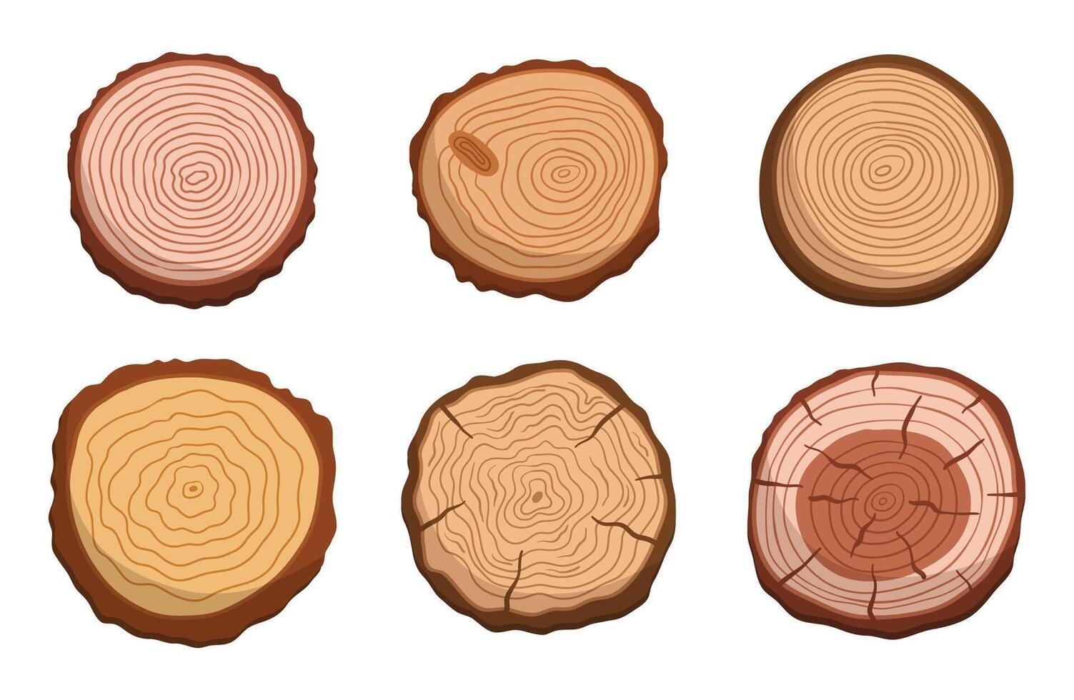 Set Of Tree Trunk Cross Sections, Showcasing The Unique Patterns And Growth Rings, Isolated Icons On White vector
