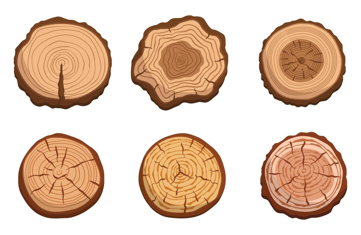 Set Of Tree Trunk Cross Sections, Featuring Circular Slices Showcasing Unique Growth Rings And Natural Wood Patterns vector