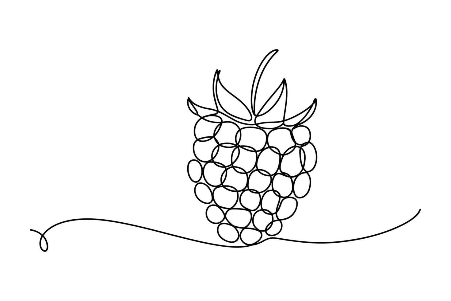 Elegant single line drawing of a ripe raspberry with leaves and a decorative flourish on a white background vector