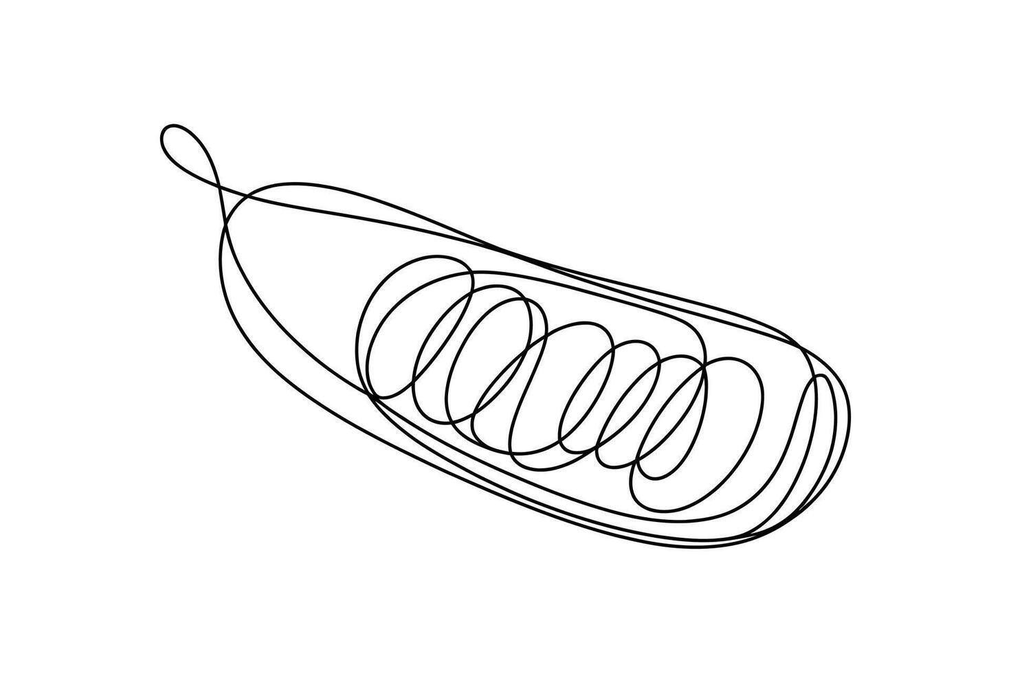 Abstract continuous line drawing of a single pea pod with swirling peas inside representing growth and nature vector