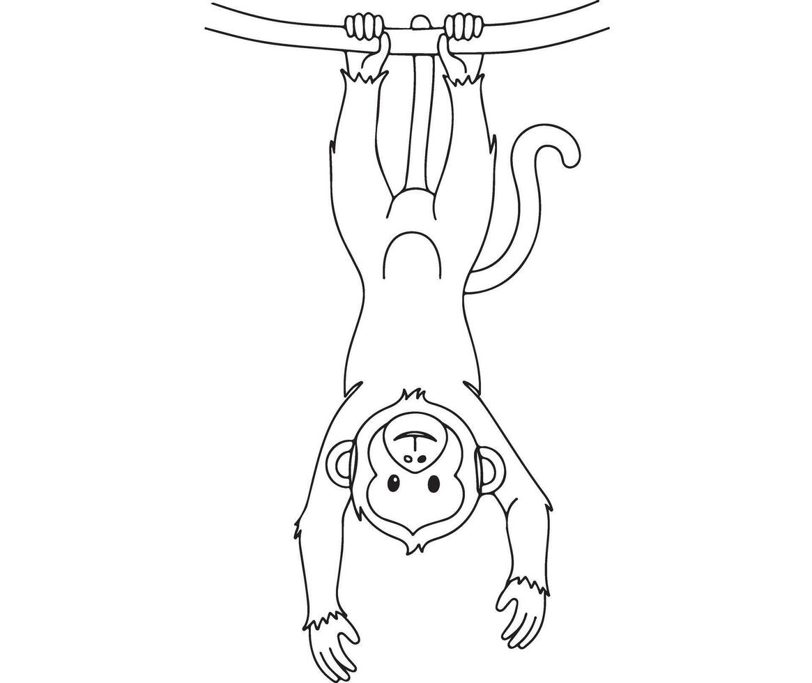 Simple line drawing of a monkey hanging upside down from a branch vector