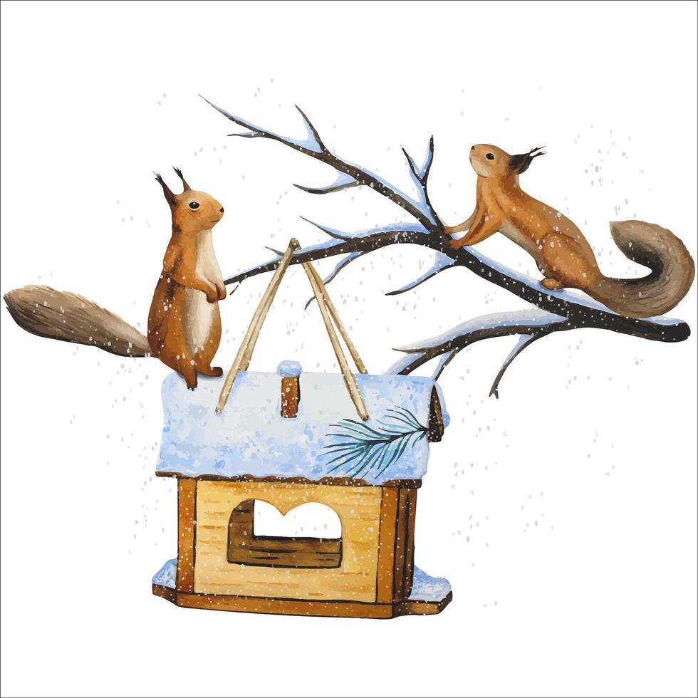 Hand drawn winter scene with squirrels on snow covered pine branches with birdhouse. Watercolor vector