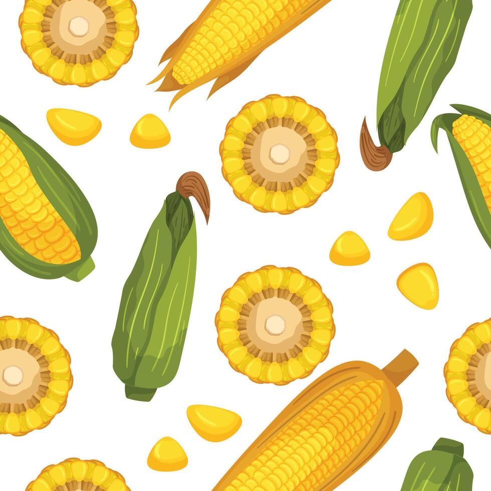 Seamless Pattern With Vibrant Corn Cobs, Husked Ears, Sections and Seeds, Creating A Delightful Design vector