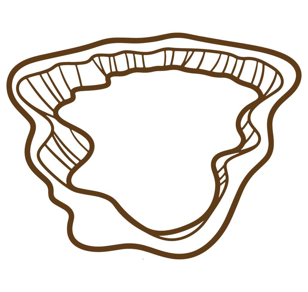 Abstract brown outline organic design of a decorative frame with flowing and textured lines vector