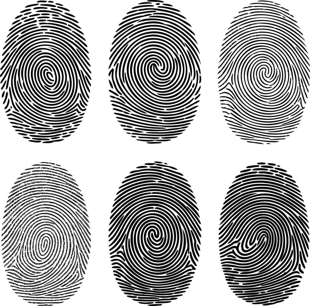 Six unique fingerprint patterns on a white background vector