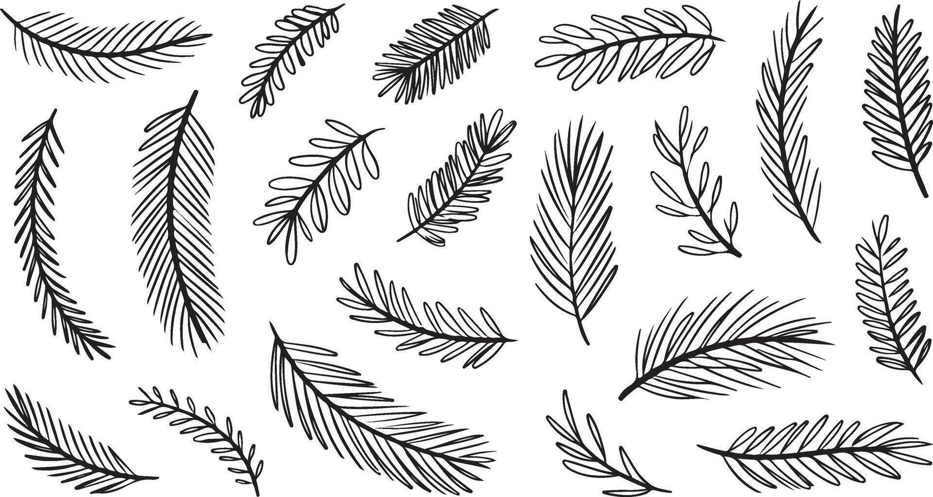 Handdrawn pine and fir branches create an elegant natural pattern on a transparent backdrop vector