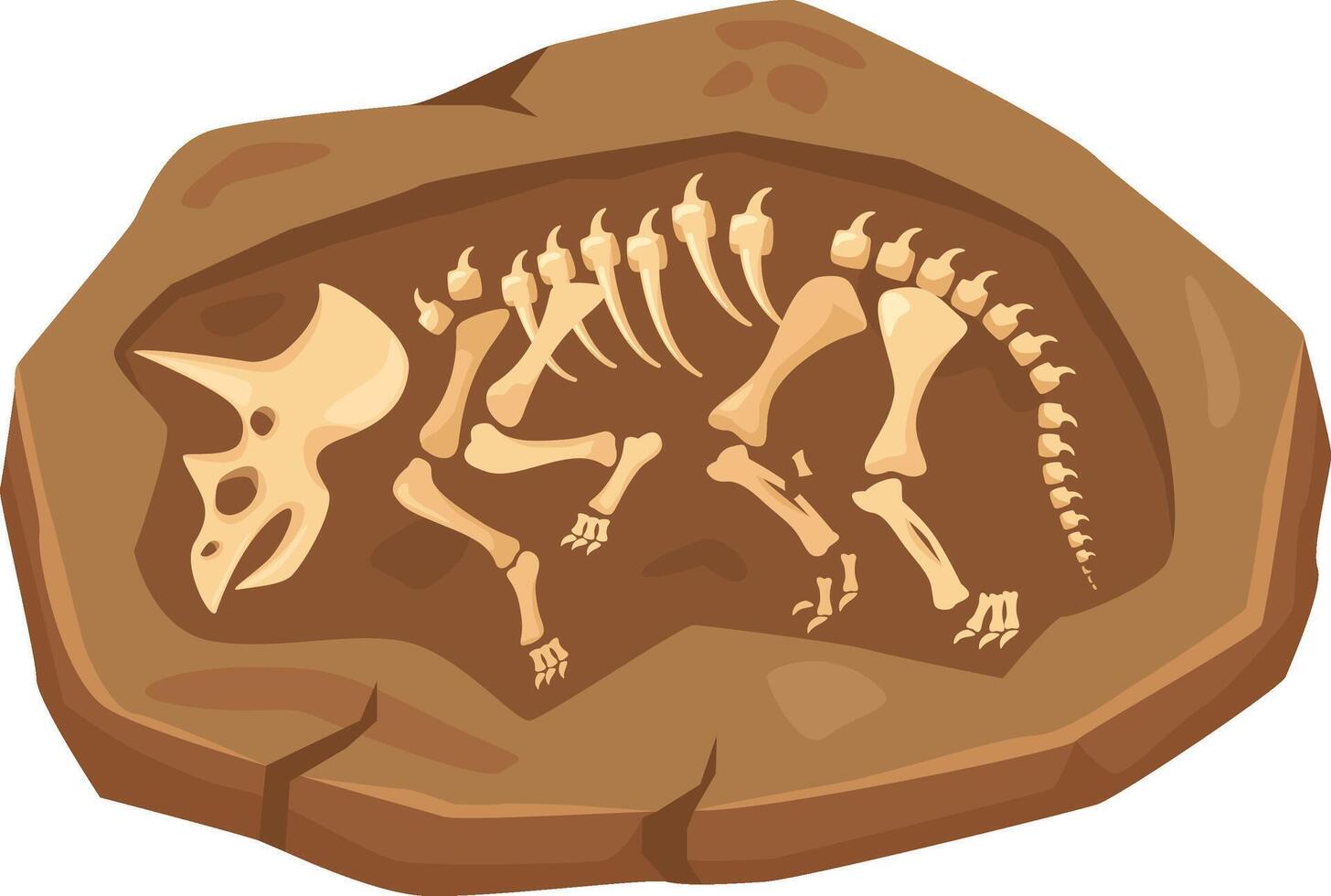 Triceratops dinosaur fossil uncovered from rock excavation vector