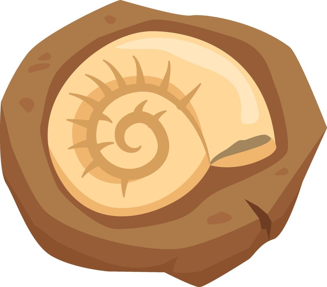 Fossil shell embedded in rock prehistoric life studying vector