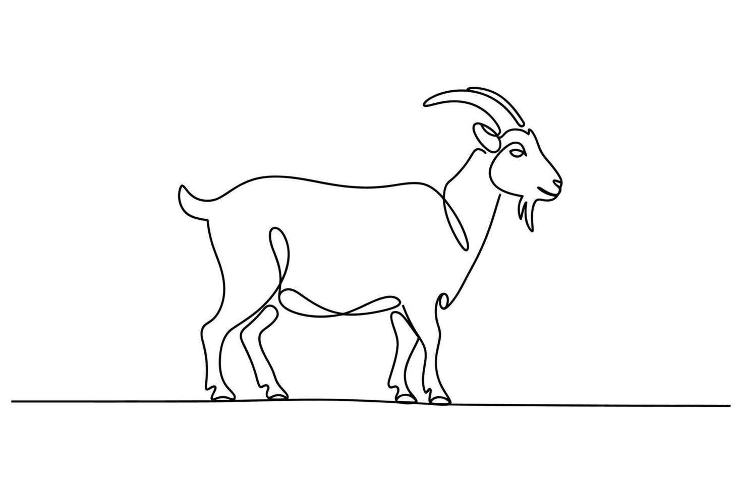 A simple line drawing of a standing goat with horns and a beard on a white background vector