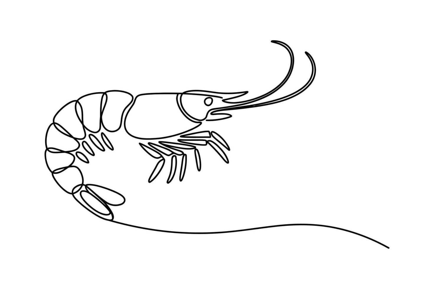 Elegant single line drawing of a shrimp showcasing its segmented body and delicate antennae in black and white vector