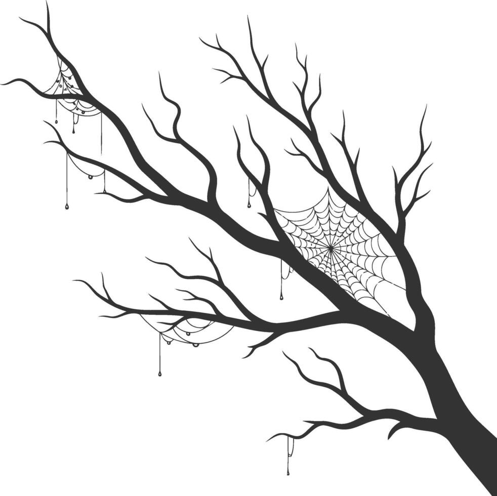 Spooky tree branch with cobwebs for halloween designs vector