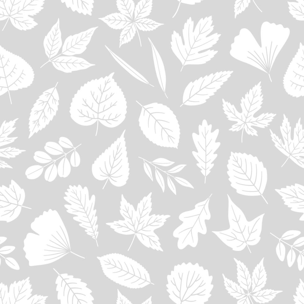 Seamless pattern with white silhouette leaves on gray background. Texture leaf of maple, oak, linden, aspen, ginkgo, and others. Print for textile, package, and wrapping paper illustration vector