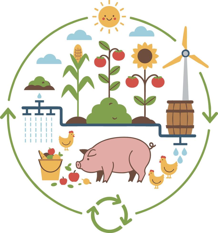 Circular diagram of a sustainable farm ecosystem with pig and crops. vector